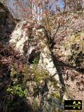 Gangausbiss des Michelsberggang (Schwerspat) bei Trusetal, Thüringer Wald, (D) (5) 15. April 2015.JPG